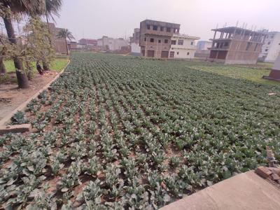 Image of 7800 Sq.ft Residential Plot / Land for sale in Ranipur, Patna for Rs. 34600000