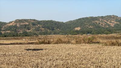 Image of 1089 Sq.ft Residential Plot / Land for sale in Pen, Raigad for Rs. 220000