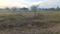 Shejwalwadi Plot View 2