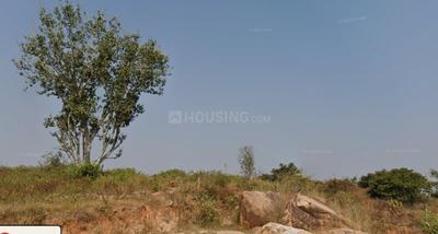 Image of 32374 Sq.ft Residential Plot / Land for sale in Parvathapura, Magadi, Bengaluru for Rs. 11000000