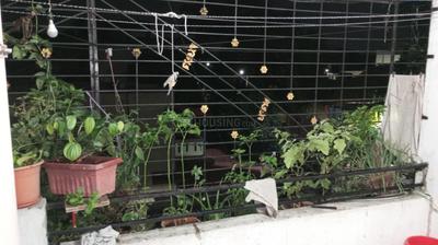 Balcony Image of 830 Sq.ft 2 BHK Apartment / Flat for sale in Ellora Residency, Vikas Nagar Pune for Rs. 5000000