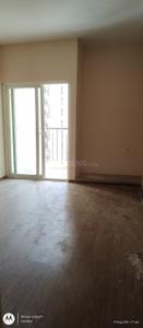 Hall Image of 807 Sq.ft 2 BHK Apartment / Flat for rent in Amrapali Dream Valley 2, Noida Extension Greater Noida for Rs. 16500
