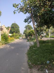 Image of 420 Sq.ft Residential Plot / Land for sale in Sector 7, Panchkula for Rs. 200000000