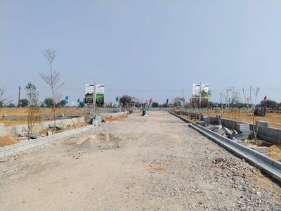 Teelawas Plot View 3