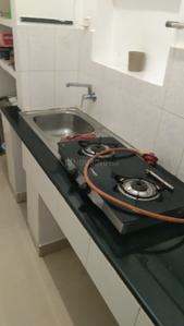 Kitchen Image of 925 Sq.ft 2 BHK Apartment / Flat for rent in Nungambakkam Chennai for Rs. 31000