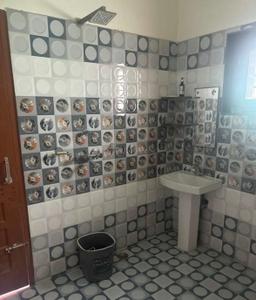 Bathroom Image of 500 Sq.ft 2 BHK Apartment / Flat for rent in Sector 14 Hisar for Rs. 10000