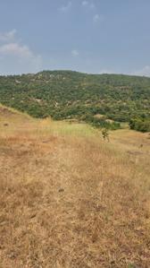 Image of 11000 Sq.ft Residential Plot / Land for sale in Varve Khurd, Pune for Rs. 1890000