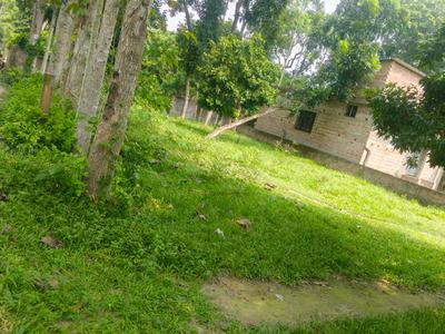 Image of 2880 Sq.ft Residential Plot / Land for sale in Krishnanagar, Nadia for Rs. 3000000