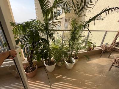 Balcony Image of 1752 Sq.ft 2 BHK Apartment / Flat for rent in DLF One Midtown, Karampura New Delhi for Rs. 74000