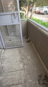 Image of 1100 Sq.ft 3 BHK Apartment / Flat for sale in Tulip Orange, Sector 70, Gurgaon for Rs. 14500000