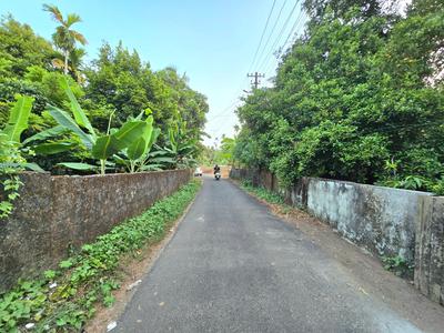Image of 3262 Sq.ft Residential Plot / Land for sale in Alangad, Kochi for Rs. 3150000