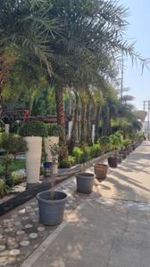 Image of 2400 Sq.ft 4 BHK Independent House for sale in Sage Milestone Phase 1B, Hoshangabad Road, Bhopal for Rs. 12000000