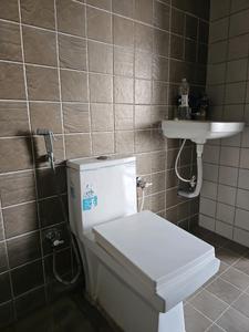 Common Bathroom Image of 715 Sq.ft 1 BHK Apartment / Flat for sale in Rohan Rudra, Wagholi Pune for Rs. 4100000