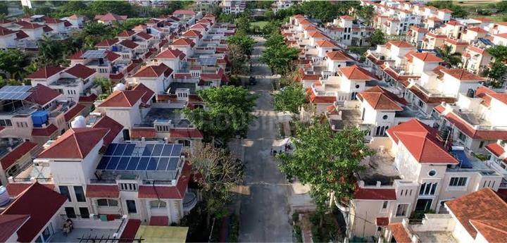 Suchir Timberleaf Main Image 1