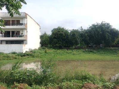 Sector 84 Plot View 2