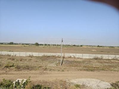 Image of 130 Sq.ft Residential Plot / Land for sale in Dholera Global City, Dholera, Ahmedabad for Rs. 1190000