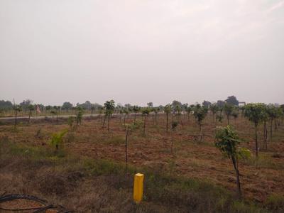 Image of 250 Sq.ft 2 BHK Farm House for rent in Tirupati Amaraavathi Tekk Homes, Yerpudu, Tirupathi for Rs. 20000