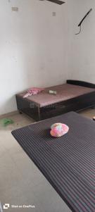 Bedroom Image of 900 Sq.ft 3 BHK Apartment / Flat for rent in Sector-02 Bahadurgarh for Rs. 8000