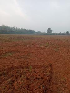 Image of 1200 Sq.ft Residential Plot / Land for sale in Trisulia, Cuttack for Rs. 840000