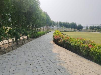 Image of 1130 Sq.ft Residential Plot / Land for sale in Lava, Nagpur for Rs. 2655500