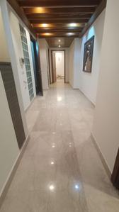 Hall Image of 1620 Sq.ft 3 BHK Builder Floor for sale in DDA RWA East Of Kailash DDA Flats, East Of Kailash New Delhi for Rs. 55000000