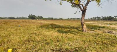 Image of 800 Sq.ft Residential Plot / Land for sale in Arakkonam, Ranipet for Rs. 320000