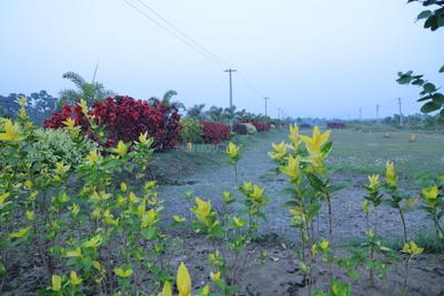 Bhogapuram Plot View 3