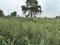Swarnjayanti Plot View 2