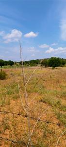 Image of 87120 Sq.ft Residential Plot / Land for sale in Amangal, Ranga Reddy for Rs. 15000000