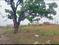 Ramdas Pally Main Image 1