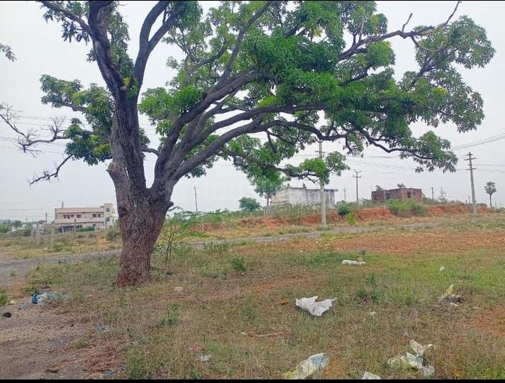 Ramdas Pally Main Image 1