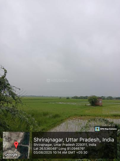 Dakhena Sekhpur Main Image 1
