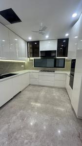 Kitchen Image of 2400 Sq.ft 4 BHK Builder Floor for sale in DLF Phase 2, DLF Phase 2 Gurgaon for Rs. 55000000