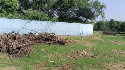 Image of 16000 Sq.ft 2 BHK Independent House for sale in Srirangam, Tiruchirappalli for Rs. 64000000