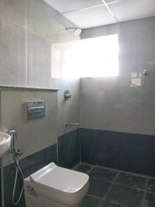 Common Bathroom Image of 1550 Sq.ft 3 BHK Apartment / Flat for rent in Yoga Sai Srikaram, Kaggadasapura Bengaluru for Rs. 60001