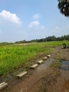 Image of 3600 Sq.ft Residential Plot / Land for sale in Natures Paradise, Joka, Kolkata for Rs. 850000
