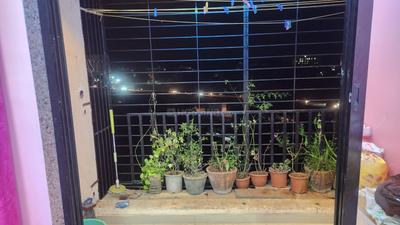 Balcony Image of 700 Sq.ft 2 BHK Apartment / Flat for rent in Crystal Panvelkar Aangan, Vasind Thane for Rs. 15000
