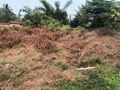 Image of 227 Sq.ft Residential Plot / Land for sale in Aldona, Goa for Rs. 8500000