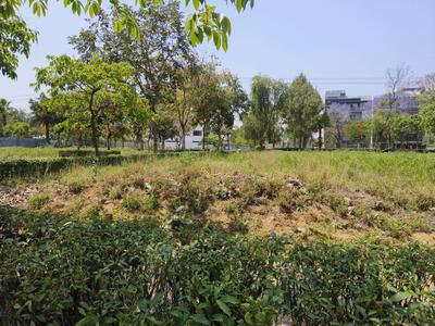 JMS The Pride Plot View 2