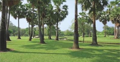 Image of 1000 Sq.ft 2 BHK Apartment / Flat for sale in Amrapali Verona Heights, Noida Extension, Greater Noida for Rs. 7800000