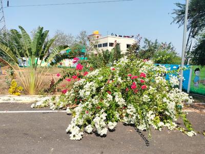 Image of 628 Sq.ft Residential Plot / Land for sale in Nazarathpettai, Thiruvallur, Chennai for Rs. 3900000