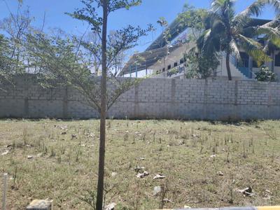 Residential Plot
