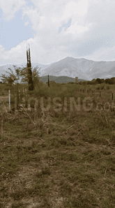 Image of 1000 Sq.ft Residential Plot / Land for sale in Dharmawala, Dehradun for Rs. 22000000