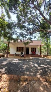 Image of 1200 Sq.ft 2 BHK Independent House for rent in Mattannur, Kannur for Rs. 12000
