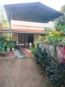 Image of 1300 Sq.ft 2 BHK Independent House for sale in Thiroor, Thrissur for Rs. 7500000
