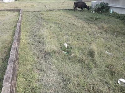 Gupta Colony Plot View 3