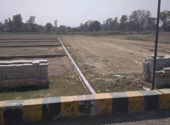 Stallion Valley  Main Image 1