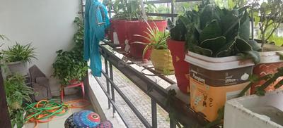 Image of 1130 Sq.ft 3 BHK Apartment / Flat for sale in Ayodhya Bypass, Bhopal for Rs. 3200000