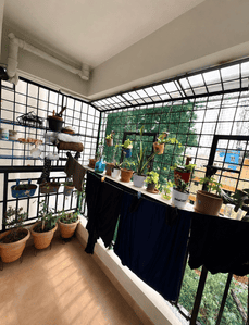 Balcony Image of 1075 Sq.ft 2 BHK Apartment / Flat for sale in Parappana Agrahara Bengaluru for Rs. 8500000