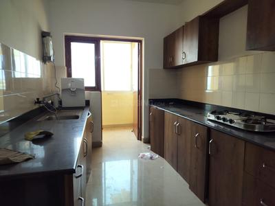 Kitchen Image of 2000 Sq.ft 4 BHK Duplex for rent in Landscape Town, Panjim Goa for Rs. 175000